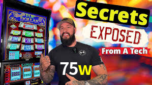 Programa VIP 75w